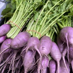 Purple Daikon Bunch Local Organic