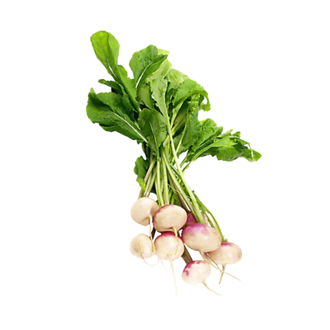 Turnip (1)