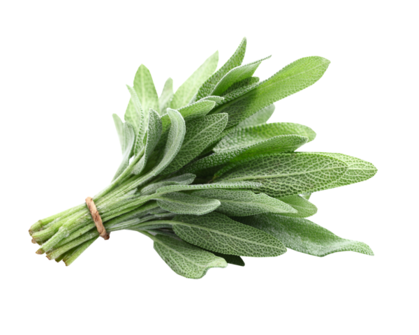 Localsagebunch