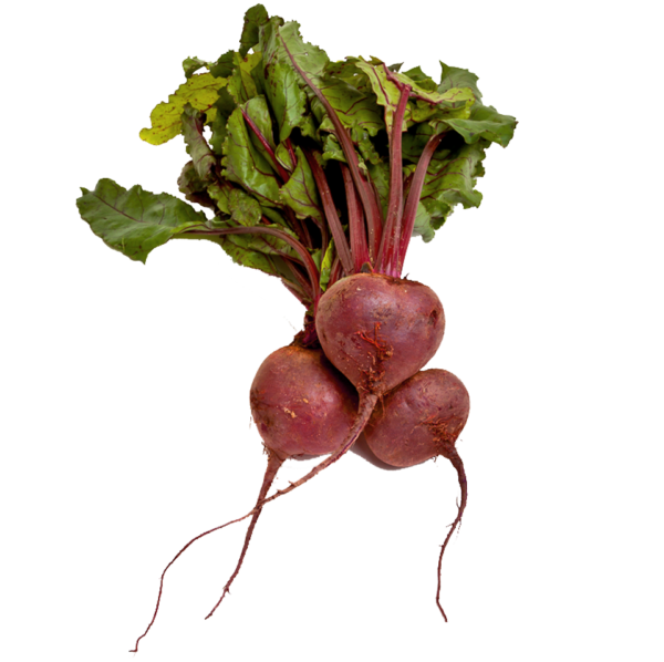 Beetbunch