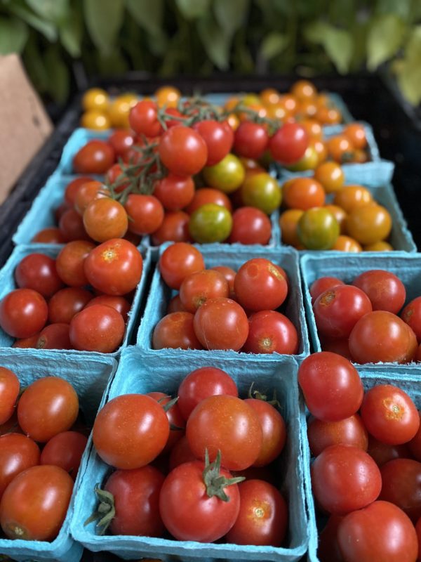 cherrytomatosunflower