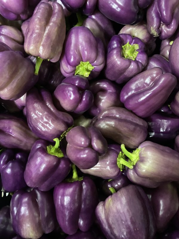Purplebellpepperlocal